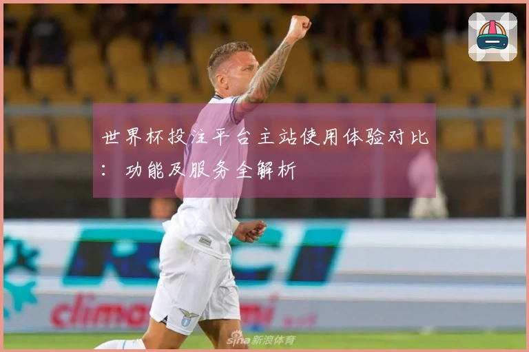 世界杯投注平台主站使用体验对比：功能及服务全解析