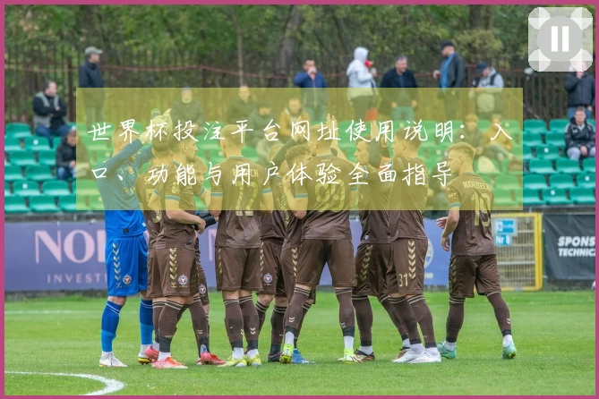 世界杯投注平台网址使用说明：入口、功能与用户体验全面指导