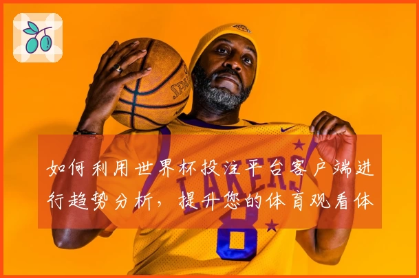如何利用世界杯投注平台客户端进行趋势分析，提升您的体育观看体验