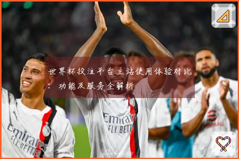 世界杯投注平台主站使用体验对比：功能及服务全解析