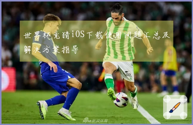 世界杯竞猜iOS下载使用问题汇总及解决方案指导