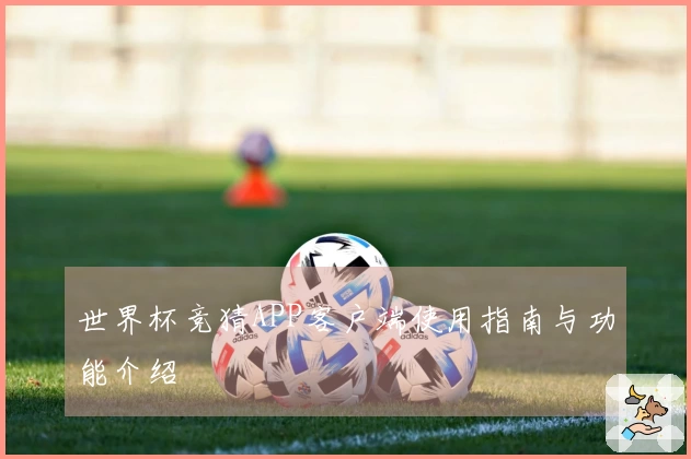 世界杯竞猜APP客户端使用指南与功能介绍