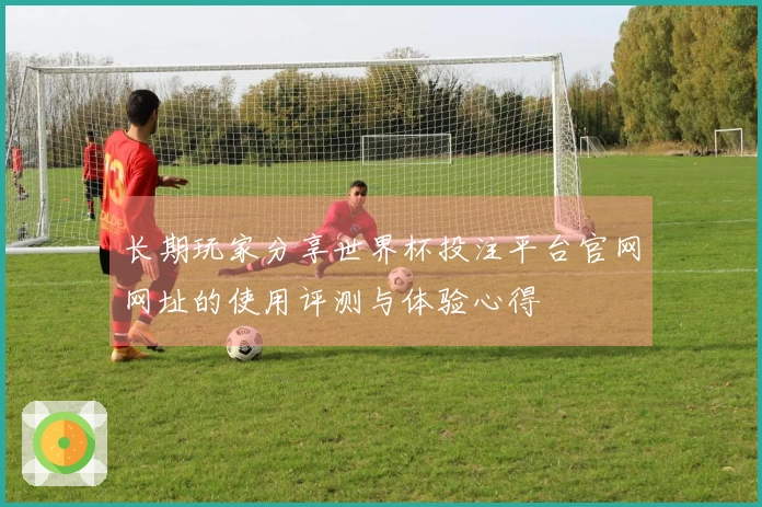 长期玩家分享世界杯投注平台官网网址的使用评测与体验心得
